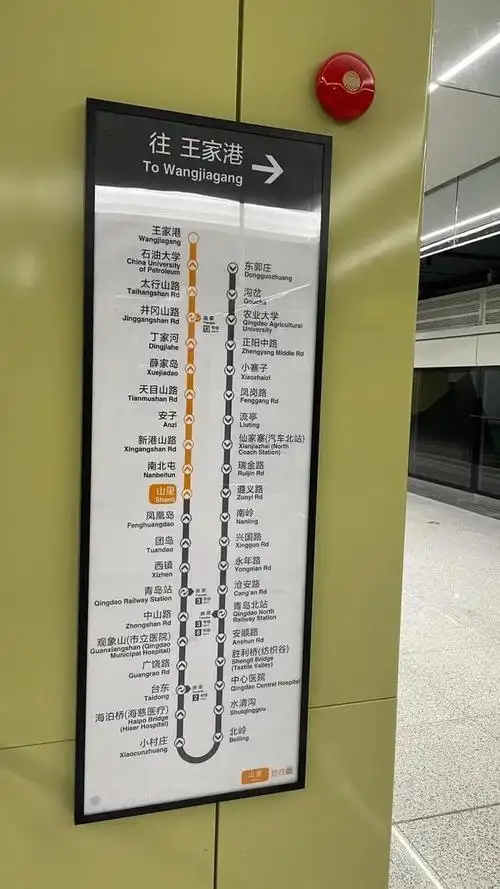 青岛地铁线网图-2021年