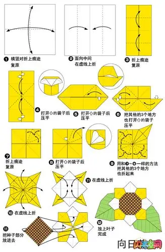 幼儿手工折纸向日葵   向日葵小科普   向日葵属向日葵族,一年生本