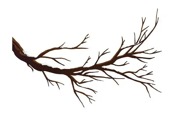 立冬元素白露寒露24节气立冬冬至手绘冬日积雪树枝