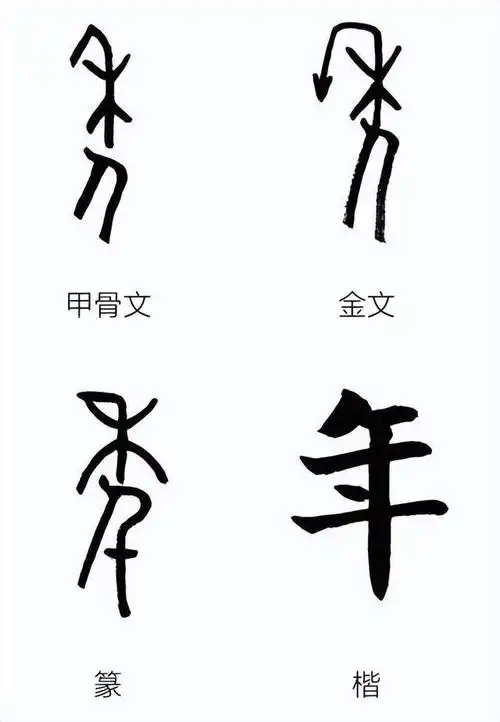 字字有源——新年