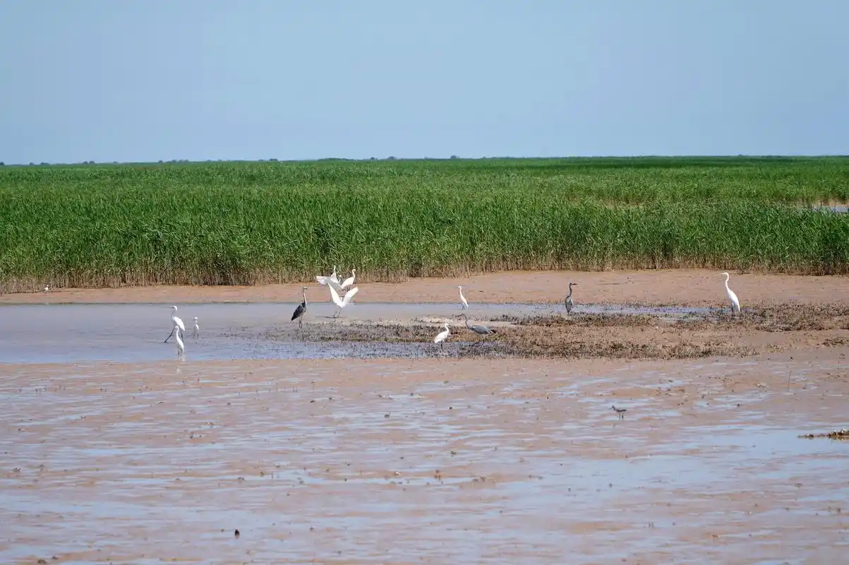 俯瞰黄河入海口