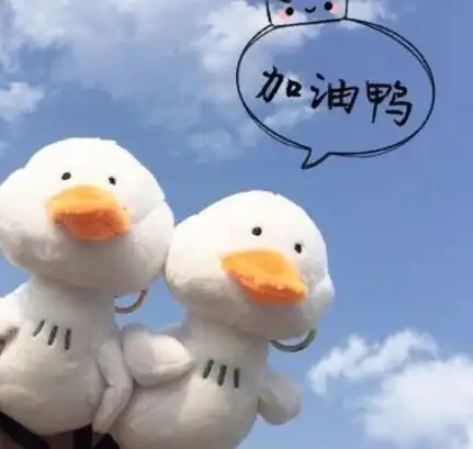 加油鸭表情包