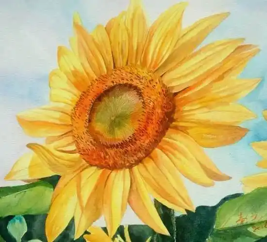 a4纸水彩画 a4纸水彩画风景花卉图片