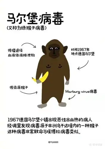 马尔堡病毒真的离我们很遥远吗