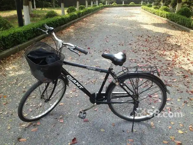 捷安特普通公路自行车