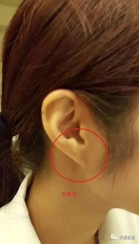 教你从耳朵看相,注定一生富贵的耳朵面相