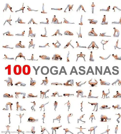 瑜伽姿势图片