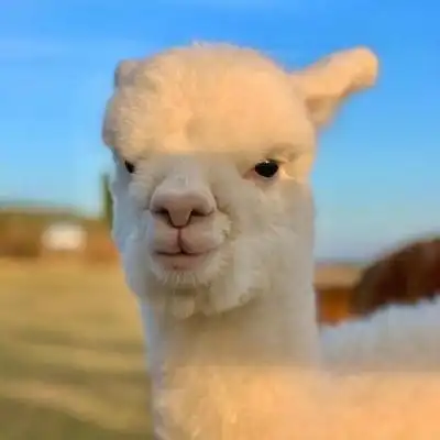 卡通动漫头像_我要个性网