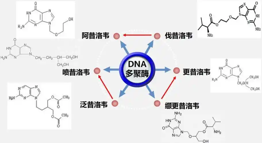 前体药物,口服伐昔洛韦后迅速转化为阿昔洛韦,发挥阿昔洛韦的药理作用