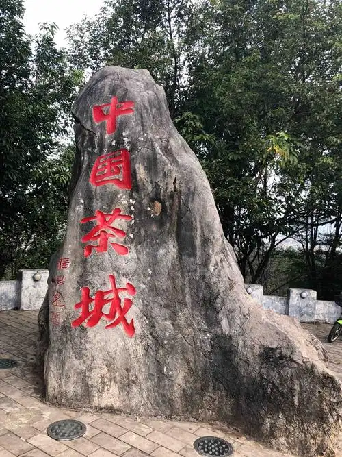 走进世界茶源—-初识普洱