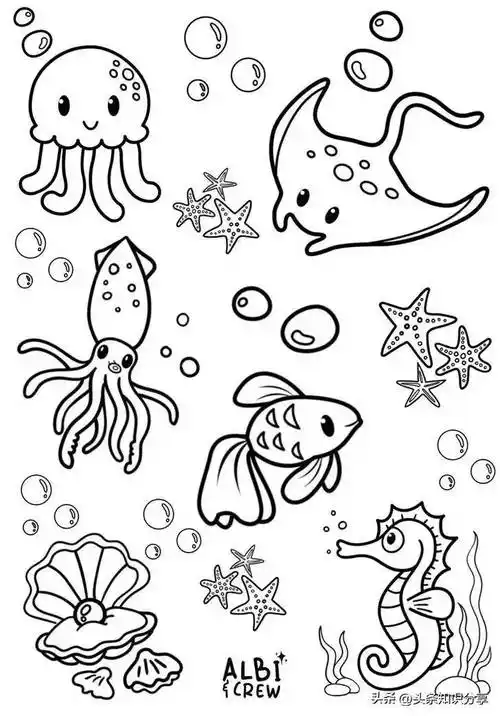 100个海洋动物简笔画线稿,收藏备用!