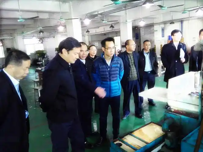 2015年12月17日增城区委书记张火青,副区长江慧雄携科经信局,环保局