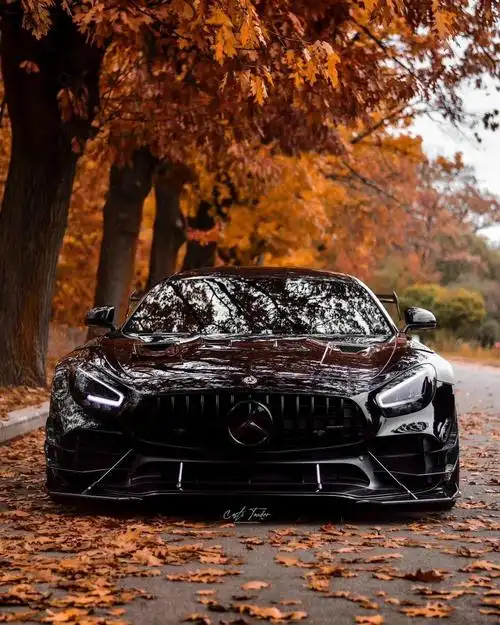黑武士---奔驰amg gtr pro_amg gt车友圈_懂车帝