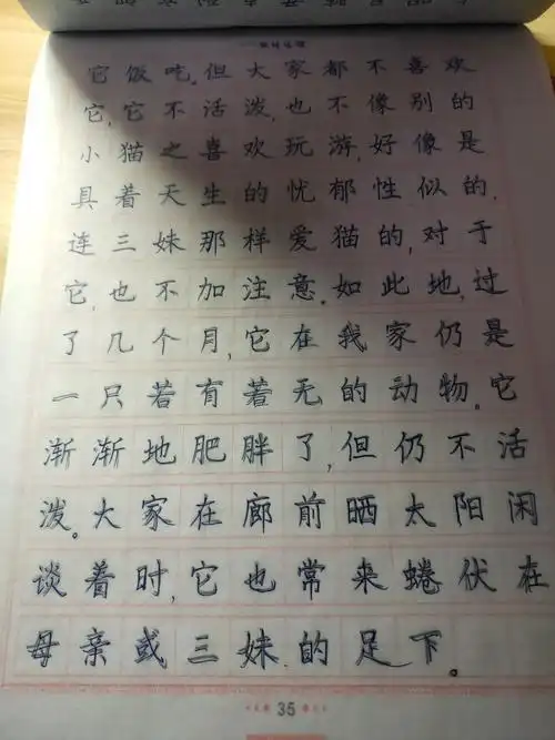 语文字帖