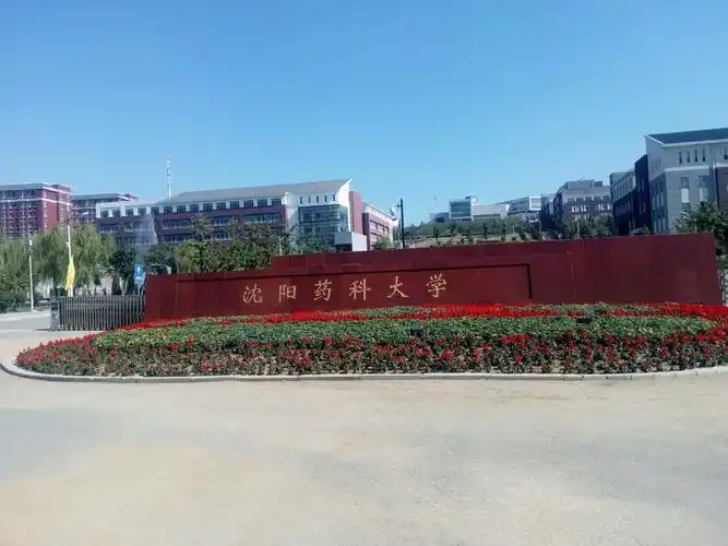 辽宁本溪石桥子沈阳药科大学全景