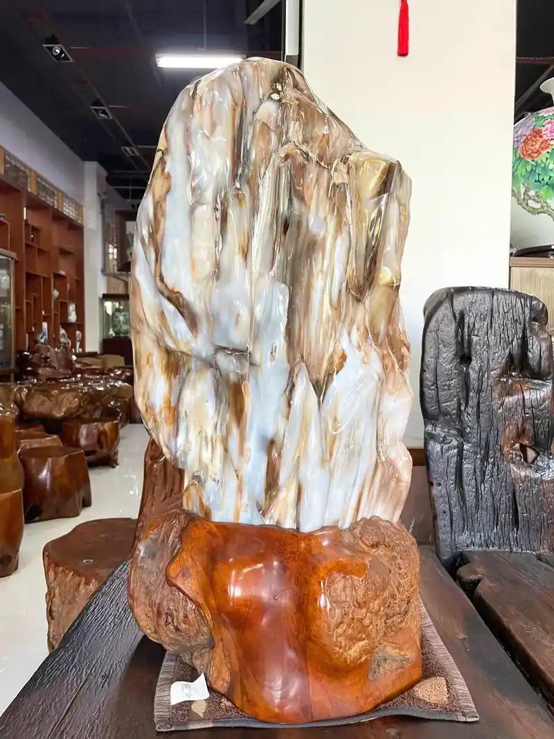 大自然杰作之木化石系列1