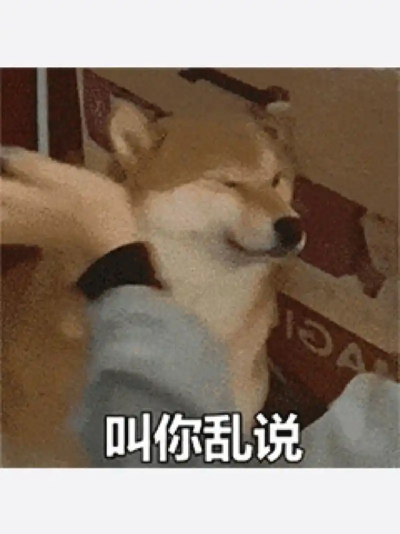 柴柴挨打搞笑表情包 柴犬动图表情包(但是小红书发不了动图) 可爱柴柴