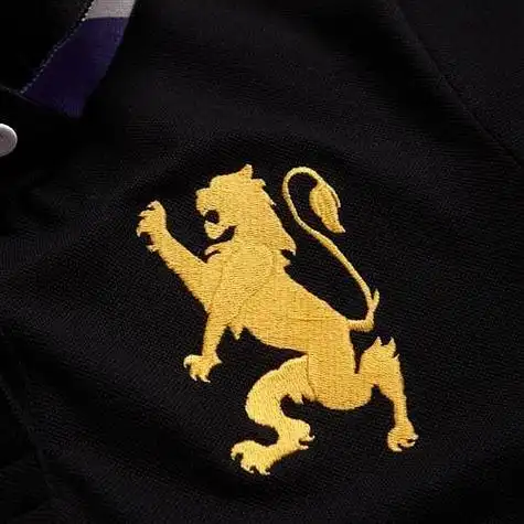 这个衣服是什么牌子一只站立的狮子