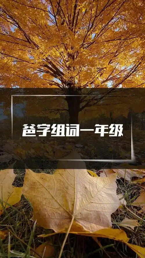 爸字组词一年级