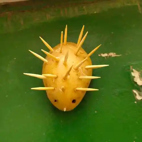 大五班蔬菜化妆舞会孩子的童年只有一次,家长陪孩子们完成手工作品,一