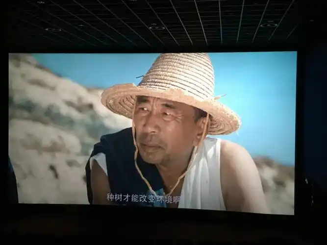 埇桥区法院组织观看生态文明主旋律电影郭富山