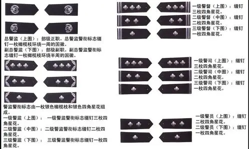 国务院修改《人民警察警衔标志式样和佩带办法》