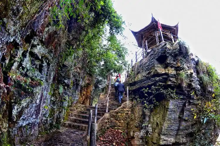 宁国 晚秋里的那一抹深黄