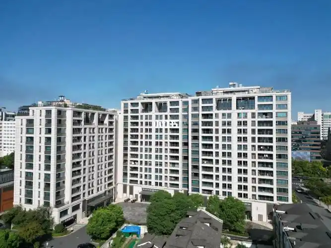 西湖嘉里逸庐中心顶楼跃层620方委托出售