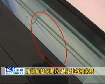 鱼缸炸裂一吨多水倾泻而出 家中险些变成"水族馆"