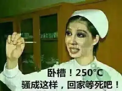 250°c骚成这样,回家等死吧!_卧槽_骚成_250_回家_这样表情