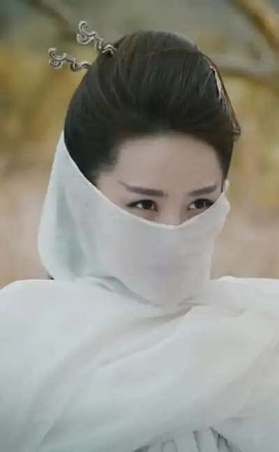 《剑王朝》【白山水】张维娜