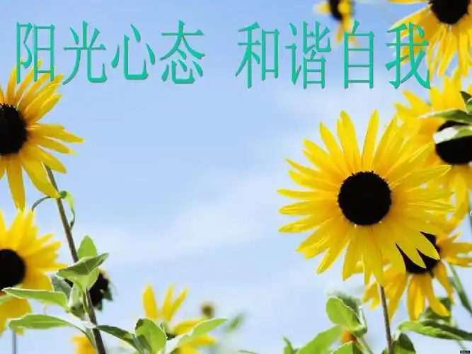 阳光心态,和谐自我主题班会