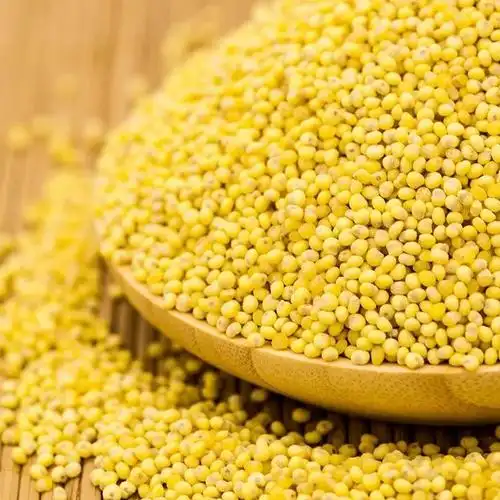 大黄米的功效与作用大黄米怎么做好吃