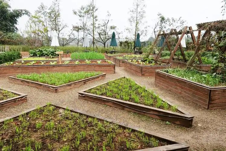 振兴乡镇 | 不到10亩地做农场,一定也要做好精准定位!_休闲_什么_餐饮