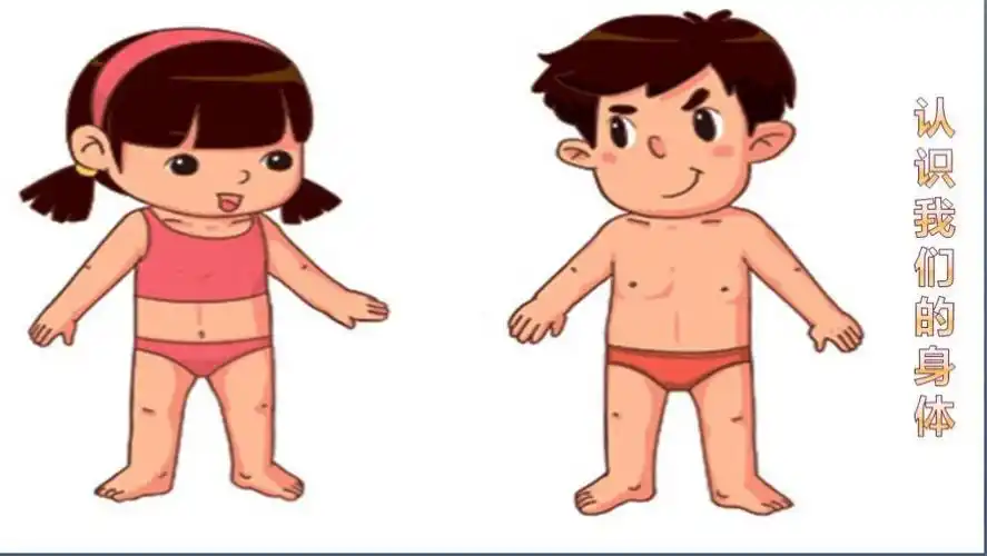 《认识和保护自己的隐私部位》——东联幼儿园安全教育主题宣传