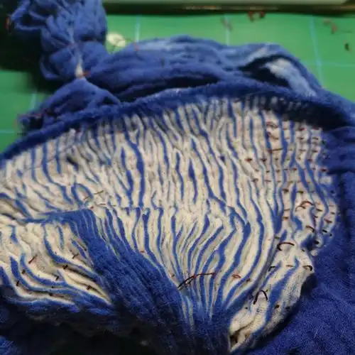 缝线97前期准备工具:涤纶染料(用涤纶布时),防染剂(tb搜索扎染染料