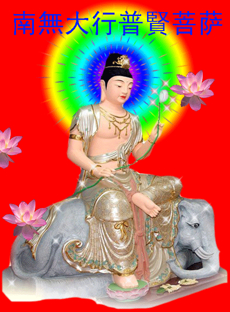 474_642竖版 竖屏gif 动态图 动图