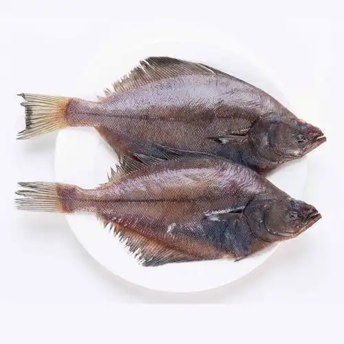 新品野生海捕比目鱼保鲜新鲜大偏口鱼深海碟鱼冷冻大连海鲜水产
