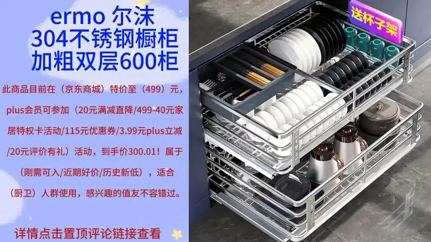 尔沫(em)厨房拉篮304不锈钢橱柜拉篮抽屉式双层碗碟碗篮调味料架阻尼