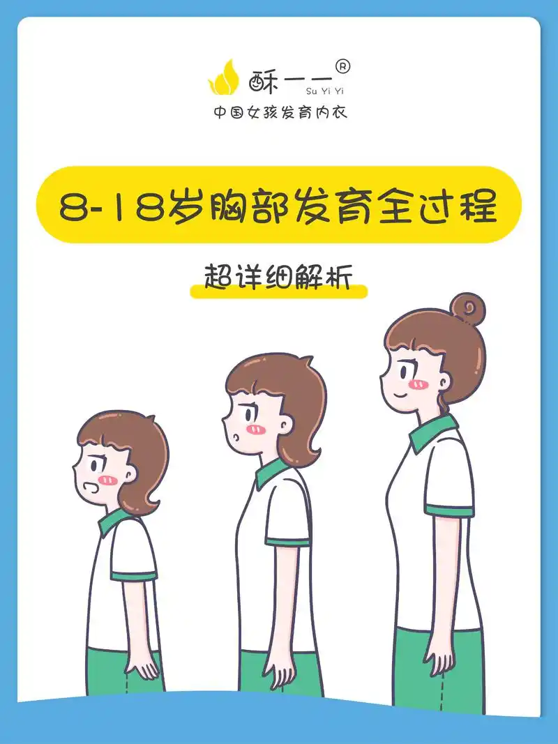 1篇看懂胸部发育全过程,青春期女生必看.哈喽,这里是酥一一s - 抖音