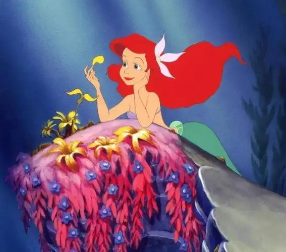 至于小美人鱼爱丽儿公主和亚力克王子等其他角色尚未确定演员.