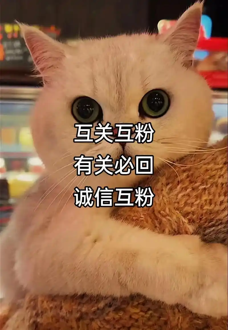 互关互粉,有关必回,今日上限,明日必回,评论区留言一起涨粉# - 抖音