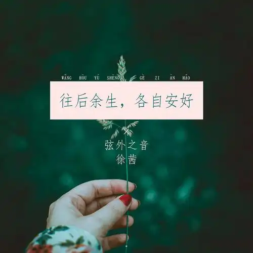 弦外之音往后余生各自安好