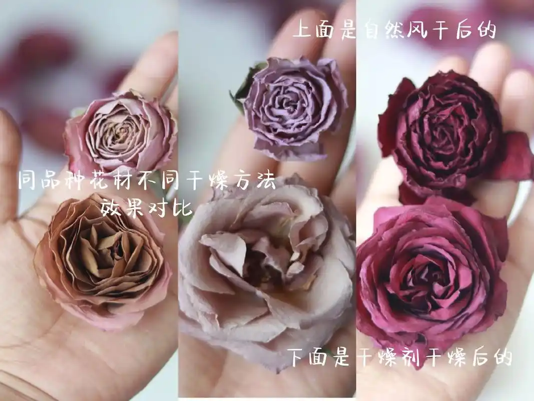 干花的多种制作方法|收到鲜花这样做太美啦.