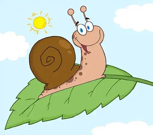 蜗牛