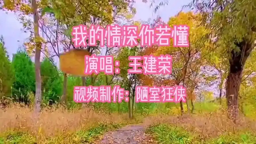 网络情歌我的情深你若懂原唱王建荣深情感人经典好听