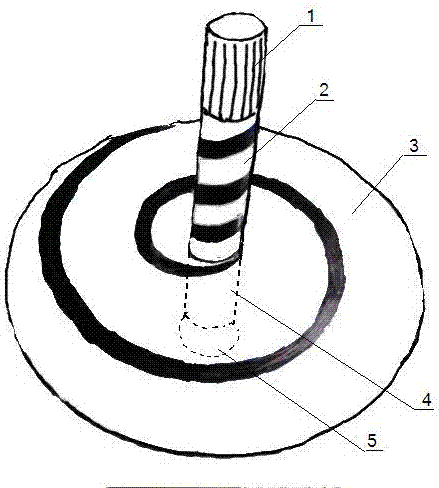 简易陀螺的制作方法