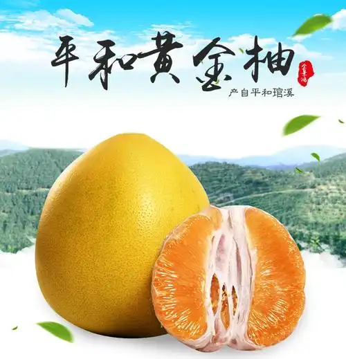 福建平和琯溪蜜柚 黄心柚子 黄金蜜柚 可一件代发 微商货源批发