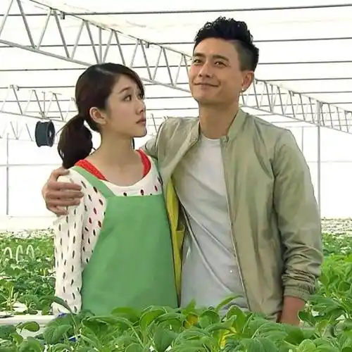 邓佩仪_香港_家人