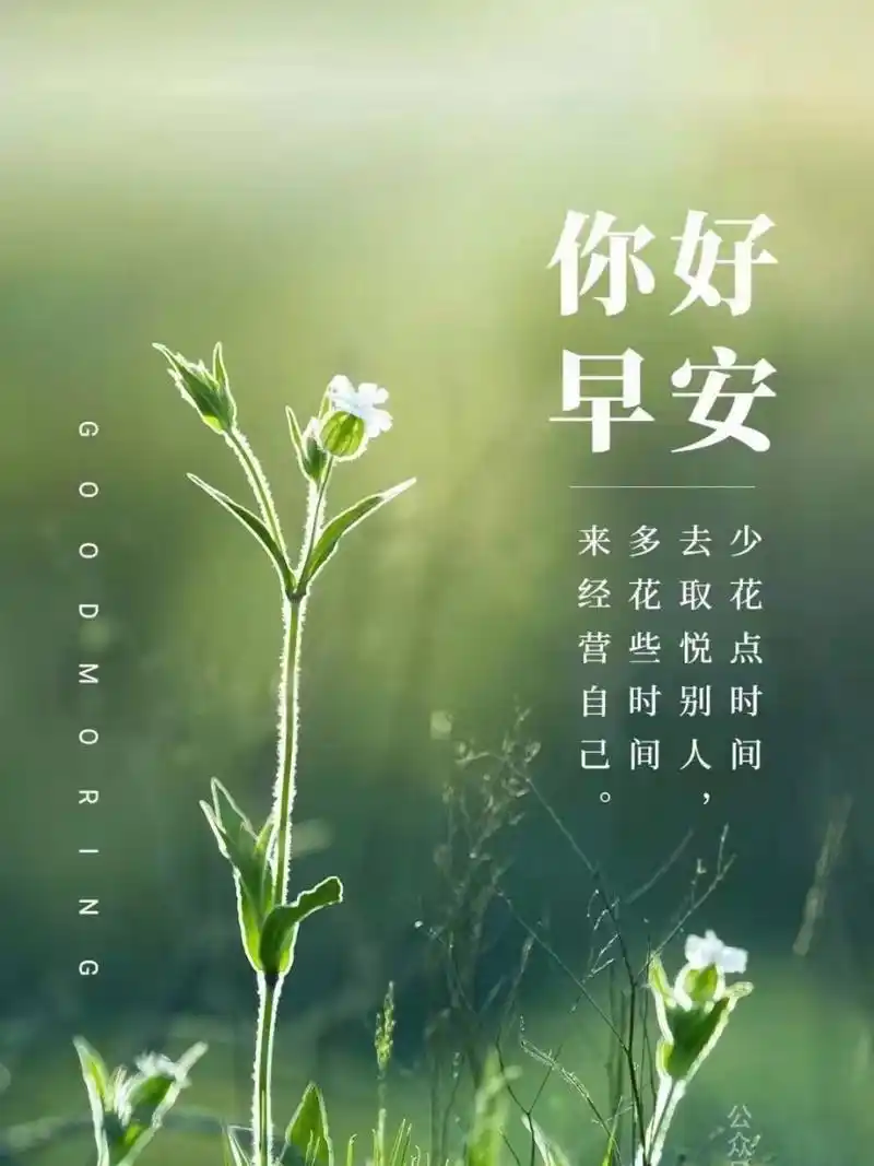 早安心语|早安发朋友圈海报图片 781560686069.